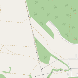 Л-Лизин Л-Лизин